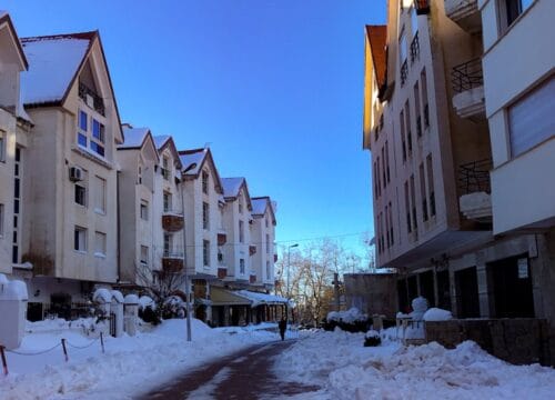 Full day trip from Fez to Ifran the Switzerland of Morocco