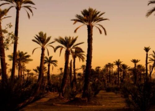 5-Day Tour from Fez to Marrakech via the Sahara Desert